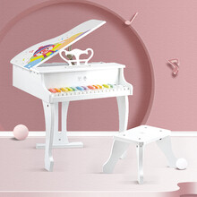 德国(Hape)30键炫彩钢琴宝宝儿童男女孩早教木质益智玩具男孩女孩节日生日礼物 3岁+ 837550