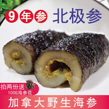 国际	臻本然9年加拿大进口非养殖淡干北极参刺参干货海参原货 500克/1斤【60-80头/斤】