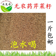 散芹菜种子 散芹菜种子籽 散芹菜籽 泡水喝 饱满 干净阿芹 一斤装