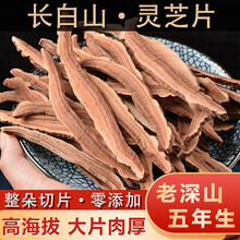 奢理氏 灵芝 灵芝片 赤灵芝整朵切片 灵芝茶 赤灵芝切片 【三年】赤灵芝片50克（可泡水）