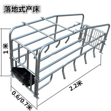 2021母猪产床 猪产床 落地产床 简易产床SN5755 落地式产床（60宽）