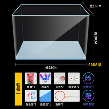 [抖音]透明热弯长方形玻璃金鱼缸乌龟缸中小型办公桌水族箱造景鱼缸 长25*宽16*高18裸缸+ 套餐1