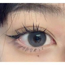 博主仙子毛网红款单簇假睫毛朵毛10mm 11mm自然c翘好看 宏佰俪A型12mm