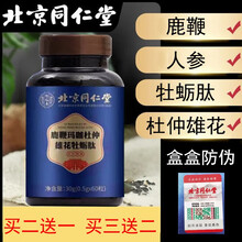 北京同仁堂人参鹿鞭片鹿鞭玛咖杜仲雄花牡蛎肽可搭鹿鞭丸鹿鞭膏 一盒装
