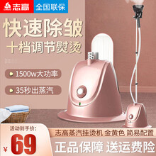 志高（CHIGO）蒸汽挂烫机家用大功率小型烫斗手持挂立式服装店烫衣服电熨斗 金黄色 简易配置