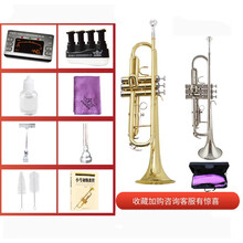 津宝JBTR-300小号乐器金色 银色 降B调 初学考级 演奏品质定制款 小号漆金