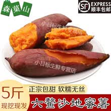 【顺丰】六鳌红蜜薯地瓜 福建漳州沙地红心番薯新鲜红薯农家自种山芋 整箱3斤 小果