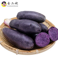 黑土豆紫色土豆农家乌洋芋马铃薯黑金刚农家蔬菜 4500g