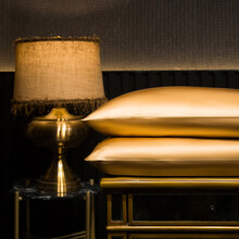 桑蚕丝枕芯 纯枕芯枕套桑蚕丝填充枕头重磅丝绸简约单人枕头套 黄2.5斤桑蚕丝/单个