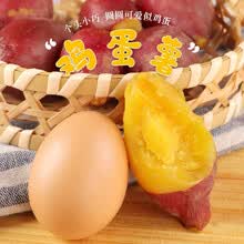 临安天目山香薯【现挖现发】鸡蛋薯 小香薯 新鲜蔬菜 现挖板栗红薯番薯 粉糯香甜 地瓜 宝宝辅食 鸡蛋薯（型似鸡蛋） 10斤