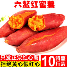 福建六鳌红蜜薯沙地新鲜红薯10斤农家香甜板栗红心地瓜糖心小番薯 1500g 中果