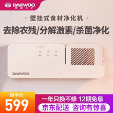 韩国大宇(DAEWOO) 家用壁挂式全自动洗菜机果蔬卫士清洗机肉类水果食材海鲜净化机 白色