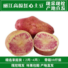 云南丽江新鲜红皮红心土豆 农家七彩马铃薯紫心大洋 9斤大洋芋精选(单果4两以上)