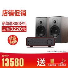Dynaudio/丹拿Emit意境 20 无源书架音箱响发烧HIFI监听2.0高保真 Emit20+国都 VENA II功放
