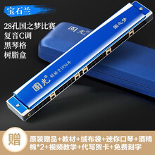 国光口风琴24孔复音 重音C调初学者中老年人成人儿童学生专业演奏级入门口风琴乐器 【国之梦系列】宝石蓝|比赛级复音28孔+礼包+教程