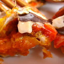 活鲜【冷链运输】鲜活大闸蟹六月黄现货 大闸蟹淡水湖蟹超大蟹尝鲜16只  罗莫利得 全母(2.3-2..8两)6只