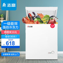 志高（CHIGO）小冰柜家用冷冻小型迷你冷藏保鲜商用卧式冷柜单用一级节能柜储母乳 110A158D【一级节能 全国联保】