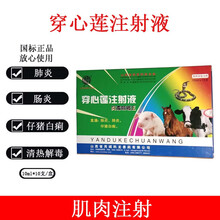 炎毒咳喘王注射液兽药兽用猪牛羊胸膜肺炎咳喘喘气肠炎穿心莲针剂