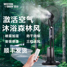 西联电风扇落地扇喷雾风扇家用加湿水雾加水雾化摇头遥控立式空气循环净化卧室客厅办公室风扇 黑色（智能款）