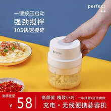 ankale 电动打蒜泥机迷你捣蒜器无线小型家用姜蒜蓉捣碎器蒜蓉机 珍珠白150ml-【三叶刀】