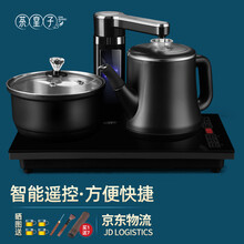 茶皇子全自动上水壶电热水壶家用智能抽水茶台烧水壶嵌入式茶桌电茶炉茶具电磁炉套装 高端黑 尊享2