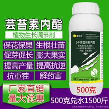 芸苔素内脂酯高效促根壮苗保花保果叶面肥农药云台生长调节剂 10kg