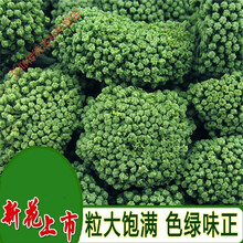 （闪电发货）2021年新三七花云南文山四年生特级三七花茶500克天然田七花 2021年新花四年生特级精选新三七花150g花朵1