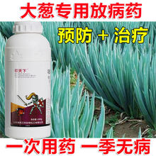 高邦 大葱剂锈病大葱病全治大葱专用药治疗加病毒病剂 大葱(吡唑)病全治10克9包