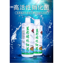 蓝彩鱼药蓝彩菌王七彩神仙鱼药交叉感染水霉黑体白毛扎堆 硝化细菌500毫升
