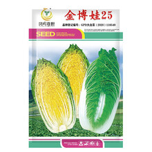 凤鸣雅世娃娃菜种子菜籽上汤小型白菜种籽黄心白菜阳台四季蔬菜种孑金博娃25娃娃菜种子10克