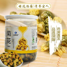 九州天润菊花胎菊罐装50g养生茶菊花茶 胎菊90g