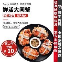 大闸蟹8-16只六月黄【鲜活-顺丰】礼盒装生鲜螃蟹探长活体实物河湖蟹清水大闸蟹 【特惠装】8只装(另送10只)