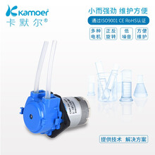 kamoer蠕动泵12v微型泵家用全自动低噪音自吸泵直流电动小抽水泵 迷你水泵 假山抽水鱼缸循环泵 CKP;蠕动泵豪华套装