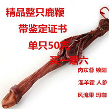 【整支鹿鞭】【长够硬】吉林鹿鞭带证书泡酒药材长白山鹿鞭 50克左右