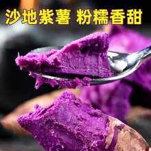 现挖紫薯新鲜10斤番薯农家蜜薯香红沙地瓜糖心薯山芋自种 10斤装