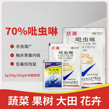 70%吡虫啉农药杀虫剂蓟马蚜虫腻白粉虱小黑飞蔬菜果树花卉100g 100g