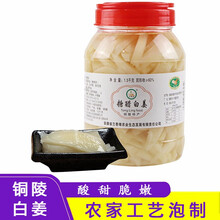 【闪电发货】兰香缘 铜陵生姜片 糖醋白姜1500g/瓶 新鲜嫩姜芽 糖醋泡姜片仔姜头下饭泡菜即食 4瓶