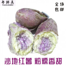 老农夫 【高州坡地番薯】新鲜冰淇淋红薯粉糯香甜板栗花心薯粉番薯一点红 3斤中薯冰淇淋【净重3斤】
