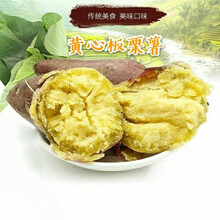 农家板栗红薯新鲜板栗王番薯地瓜红皮黄心鸡蛋黄早餐 3斤中果鸡蛋黄