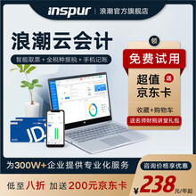 浪潮（inspur）云财务软件 云会计 出纳记账做账代账管理办公软件 财务系统管理erp网络版 标准版加账套（单拍不发）