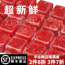 【顺丰速运】浪花  冰冻红虫冷冻红虫血线虫牛心汉堡丰年虾鹦鹉罗汉七彩神仙龙鱼食饲料 10板小红虫+关注送一板+喂食工具