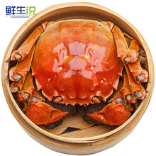 【活蟹】鲜生说 大闸蟹六月黄现货公蟹1.5-3.0两 活鲜生鲜 大闸蟹1.5-1.8两 8只