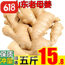 山东大姜5斤精心挑选老姜新鲜生姜安丘大黄姜月子姜有坏包赔 带箱2.5斤