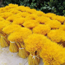 天然风干大麦穗干花花束仿真麦穗黄金花穗大麦穗门市开业大卖特卖天然小麦摆件客厅装饰礼品拍摄道具插花 C17-金色麦穗100支【60cm】