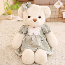 小熊公仔泰迪熊布娃娃小号熊娃娃女生毛绒玩具可爱抱抱熊女孩公主儿童睡觉玩偶哄睡情人节生日礼物 绿裙子 长约55厘米福袋香包(适合小女生)