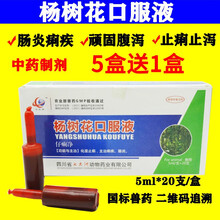 杨树花口服液兽用兽药小猪拉稀黄白痢腹泻鸡药禽牛羊药兔拉稀仔猪保命液止痢 10盒价（发12盒）