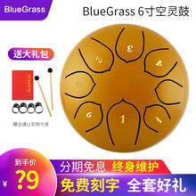 BlueGrass空灵鼓乐器色空鼓忘无忧鼓钢舌鼓手碟成人初学者手敲鼓6寸8音亲子益智玩具儿童启蒙乐器 金色