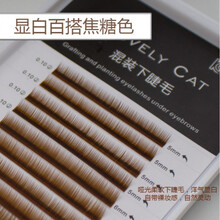 r假睫毛嫁接焦糖色假睫毛 自然逼真单簇鱼尾朵毛新手嫁接棕色 lovelycat浅焦糖色单根下睫毛