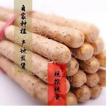 粉糯正宗铁棍山药淮山药小白嘴山药垆土铁棍多规格可选新鲜蔬菜 3斤