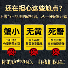 活鲜【冷链运输】大闸蟹鲜活特大现货六月黄母公螃蟹满黄 3.4-0.8两海鲜水产批发 欧登城娜 【母蟹】1.5-2.0两12只